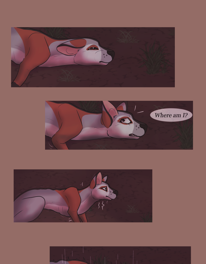 Image 1 Cut